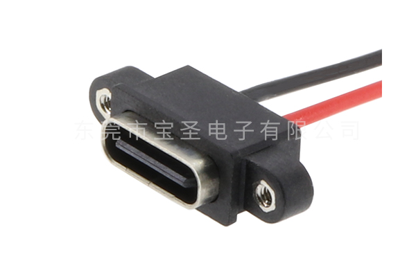 防水TYPE C 板上 2PIN 帶螺母 焊線(xiàn)BS-USBC-1215-L